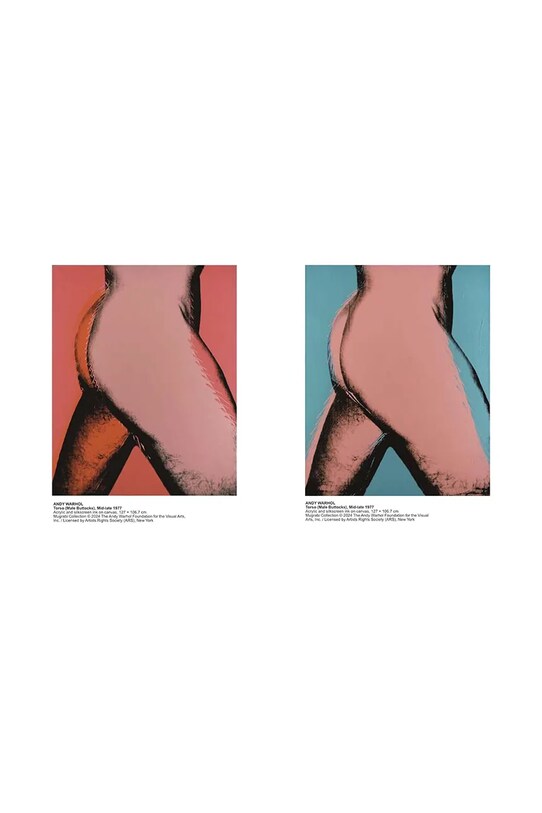 Книга home & lifestyle Andy Warhol - Velvet Rage and Beauty by Klaua Biesenbach, English барвистий PR1110