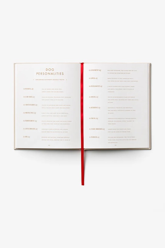 Printworks dziennik A Dog's Life 23,8 x 18,9 cm multicolor PW00764