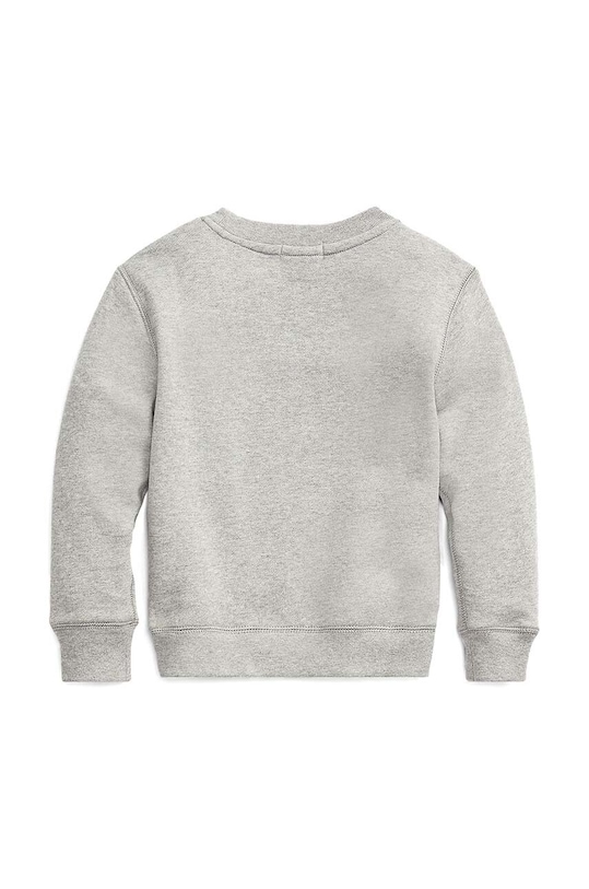 Детская кофта Polo Ralph Lauren 322772102003 серый AA00