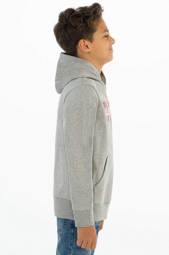 Хлопчик Дитяча кофта Levi's 8E8778.NOS.B сірий