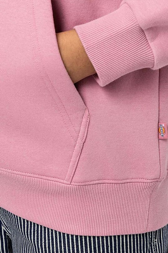 Dickies sweatshirt Icon Logo Hoodie DK0A4XCCD01