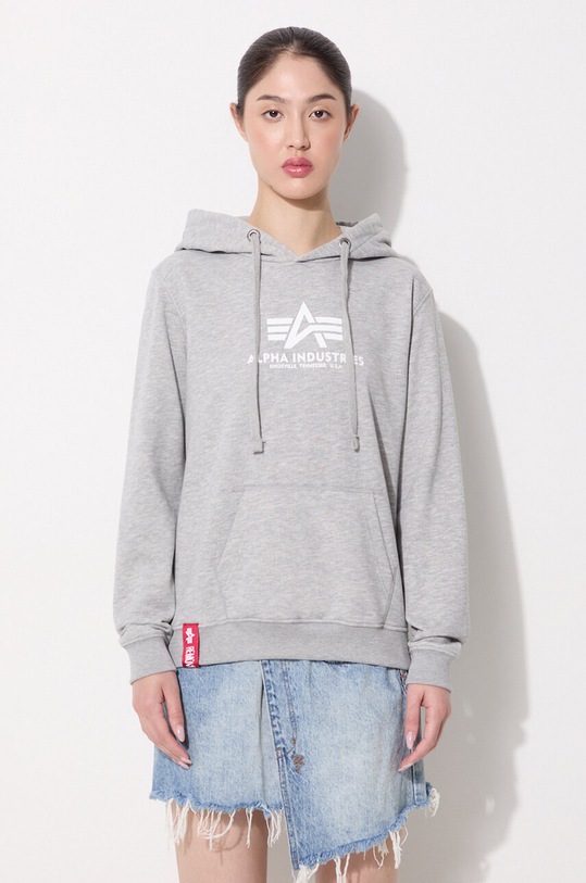 Alpha Industries sweatshirt other gray 196032.17
