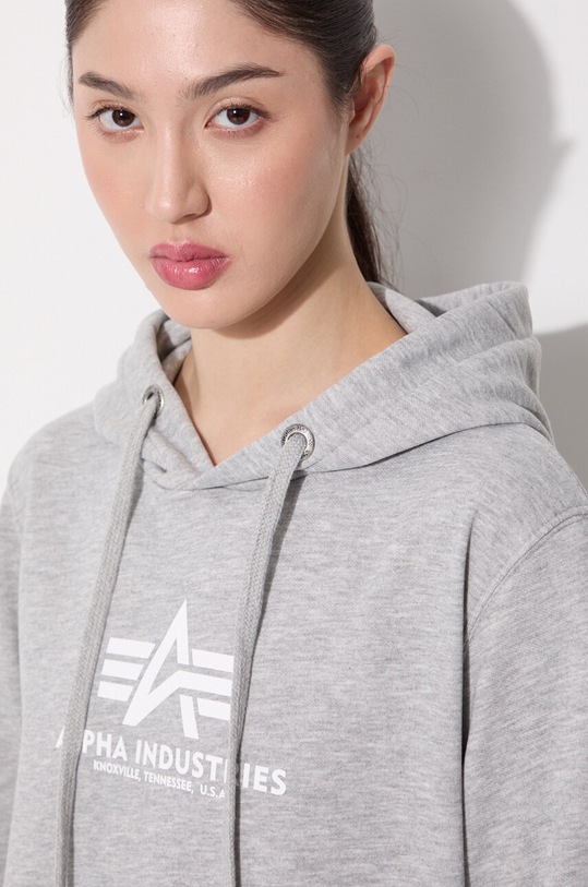 Alpha Industries sweatshirt gray 196032.17