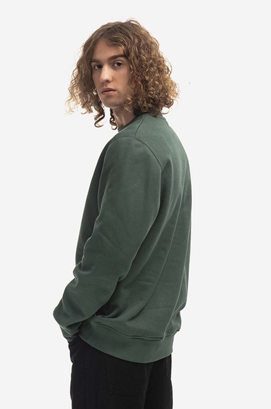 Odjeća Pamučna dukserica Wood Wood Tye AA Patches Sweatshirt 10235602.2424 zelena