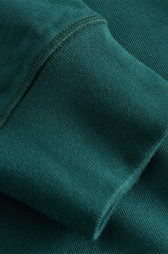 Wood Wood cotton sweatshirt Fred Ivy Hoodie green 12135616.2493