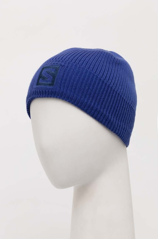 Аксессуары Шапка Salomon L39495900 Logo Beanie L39495900 голубой