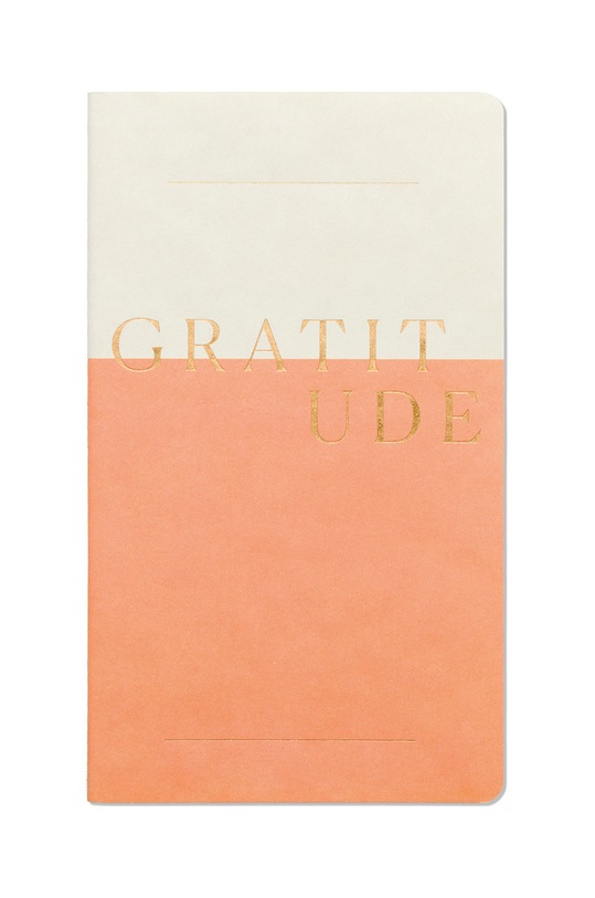 Designworks Ink Набір блокнотів Wellness (3-pack) JF743.2023EU барвистий AA00