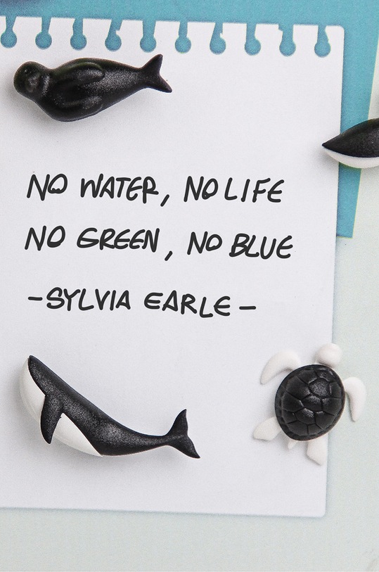 Qualy set de magneți (6-pack) 10311.BK.WH multicolor AA00