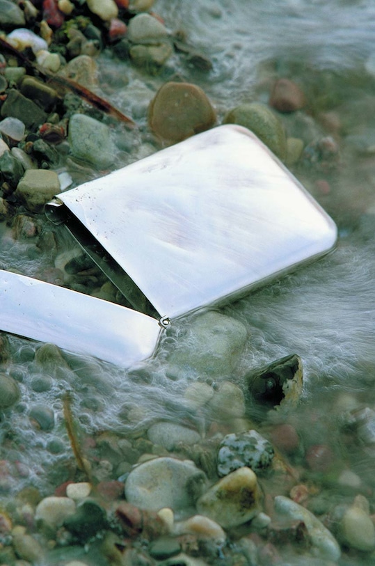 Lifestyle Philippi wizytownik Cushion P142003 multicolor