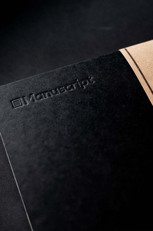 Manuscript notanik Black Plus black.plus