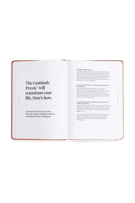 Karst notatnik Praxis Mindfulness A5 pomarańczowy KA.Praxis.Grat