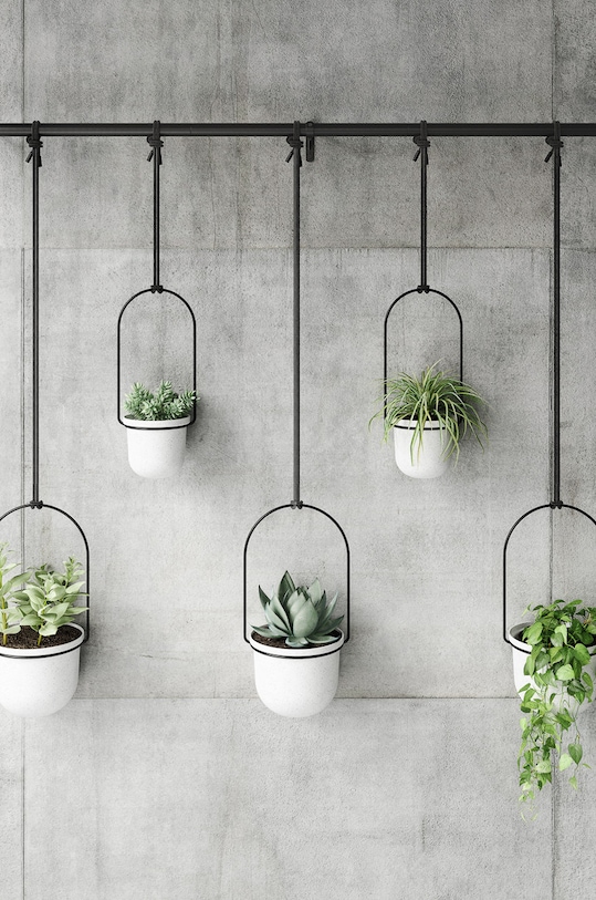 Umbra Набір настінних горщиків (5-pack) 1018086.660