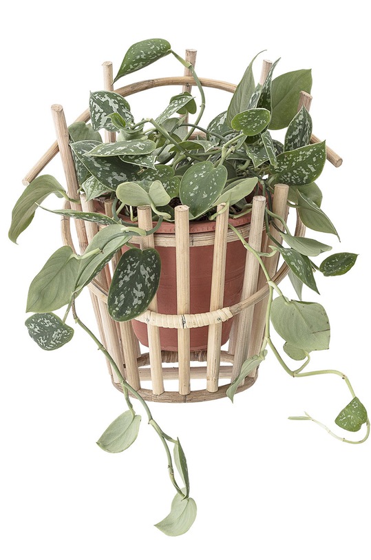 Вітальня та спальня Bloomingville Підставка під квіти підвісна 82045951 коричневий