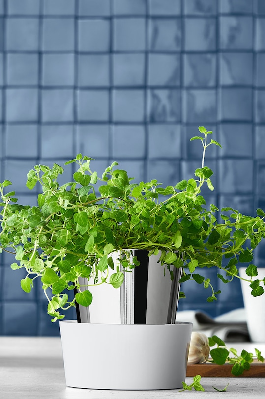 WMF lonček za zelišča s stojalom Gourmet 641316040