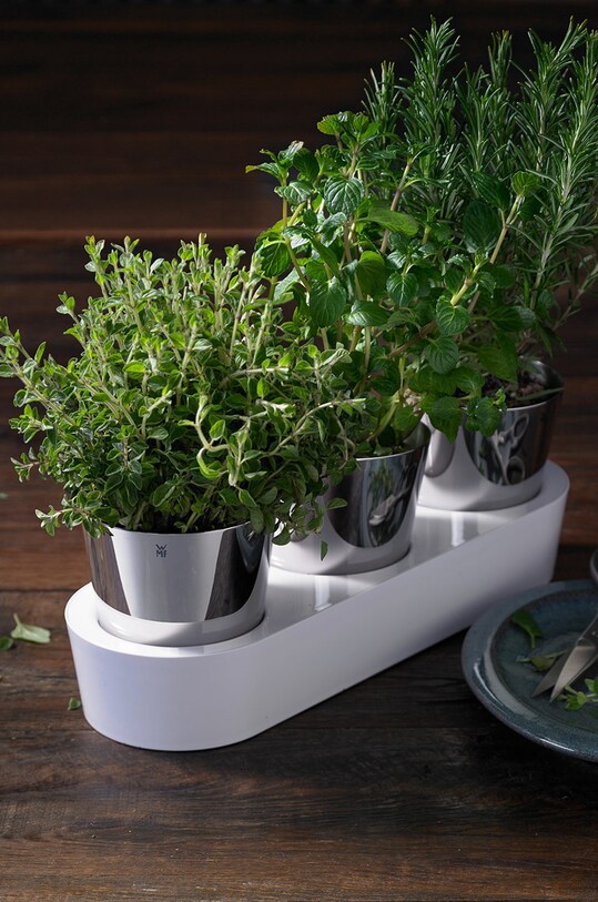 WMF sada květináčů na bylinky s podšálkem Gourmet (3-pack) 641306040