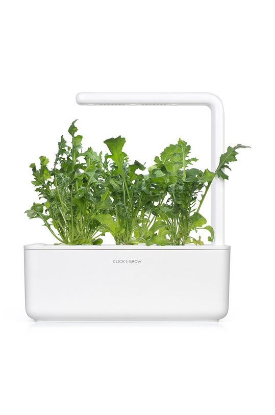 Click & Grow wkład nasienny Rukola multicolor ARUGULA