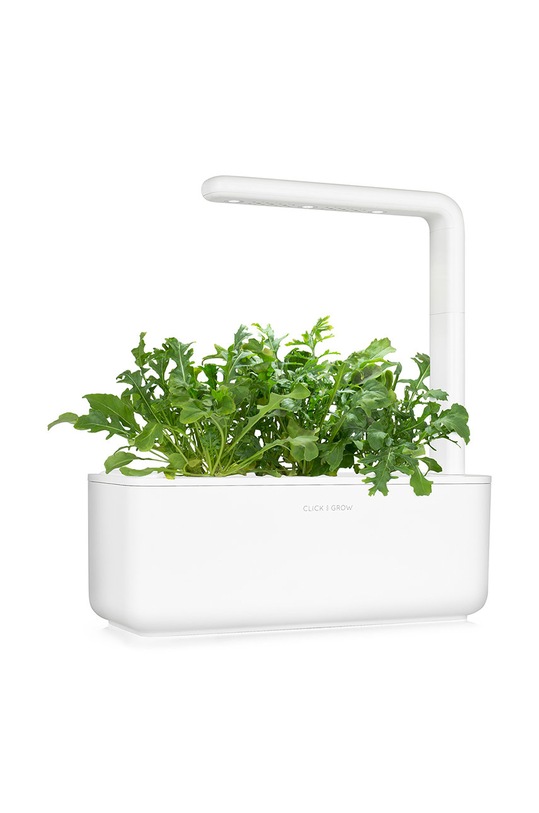 Click & Grow wkład nasienny Rukola ARUGULA multicolor AA00