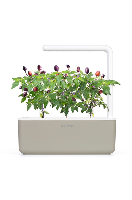 Lifestyle Click & Grow wkład nasienny Fioletowa Papryczka Chilli PURPLECHILIPEPPER multicolor