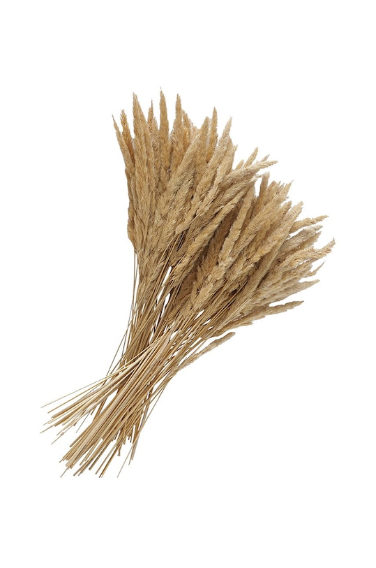 Boltze suszone źdźbła Granos 2015674 beżowy AA00