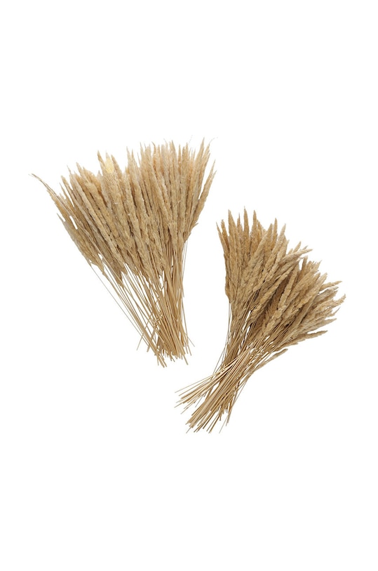 Salon i sypialnia Boltze suszone źdźbła Granos 2015674 beżowy