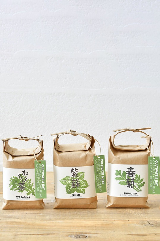 Noted set pentru cultivarea unei plante Cultivate & Eat - Wasbina GD658JEU.WASABINA multicolor AA00