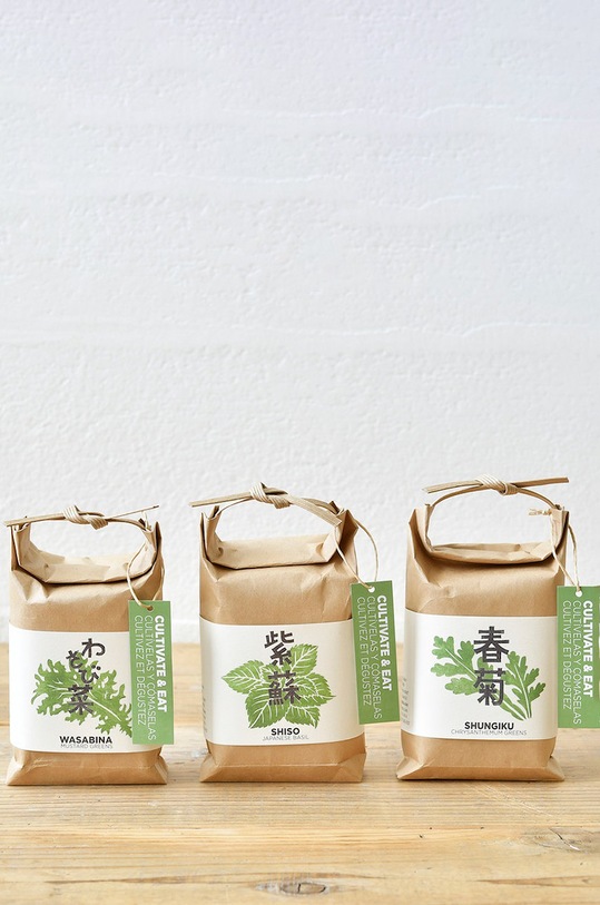 Noted zestaw do uprawy rośliny Cultivate & Eat - Shiso GD658JEU.SHISO multicolor AA00