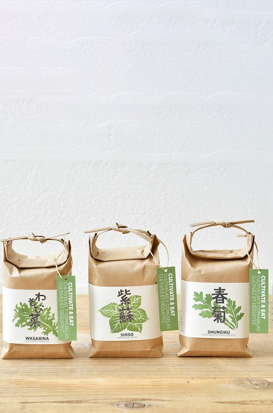 Noted zestaw do uprawy rośliny Cultivate & Eat - Shungiku GD658JEU.SHUNGIKU multicolor AA00