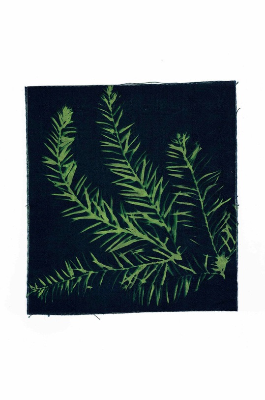 Lifestyle Noted zestaw do tworzenia fotografii Sunography (6-pack) SU09EU multicolor