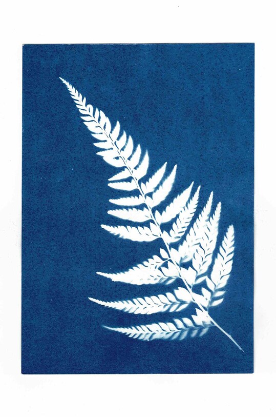 Lifestyle Noted κιτ δημιουργίας φωτογραφιών Sunography (6-pack) SU08EU πολύχρωμο