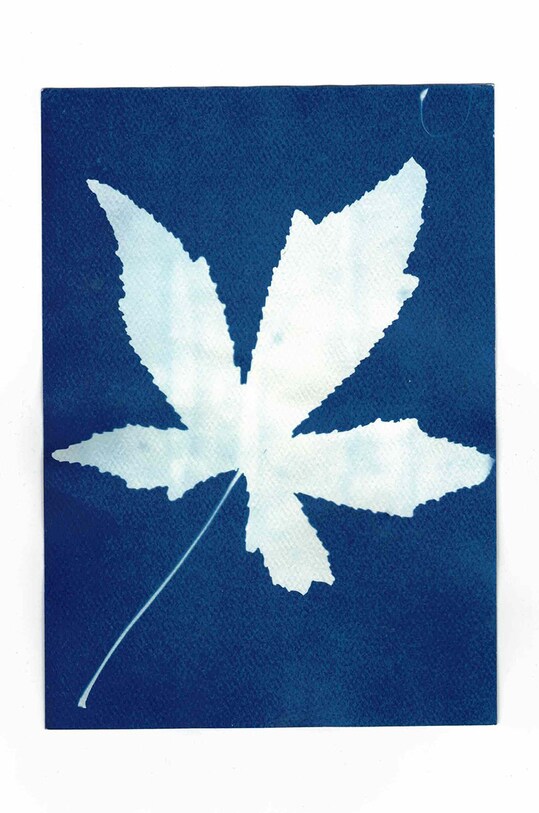 Noted κιτ δημιουργίας φωτογραφιών Sunography (6-pack) πολύχρωμο SU08EU