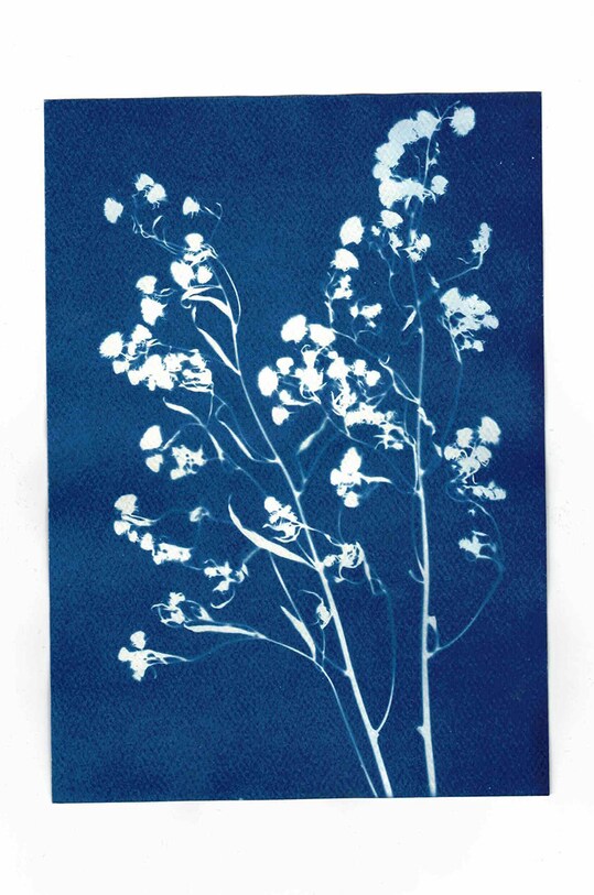 Noted κιτ δημιουργίας φωτογραφιών Sunography (6-pack) SU08EU πολύχρωμο