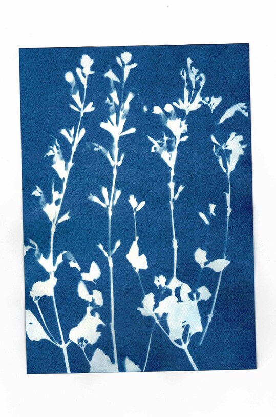 Noted κιτ δημιουργίας φωτογραφιών Sunography (6-pack) SU08EU