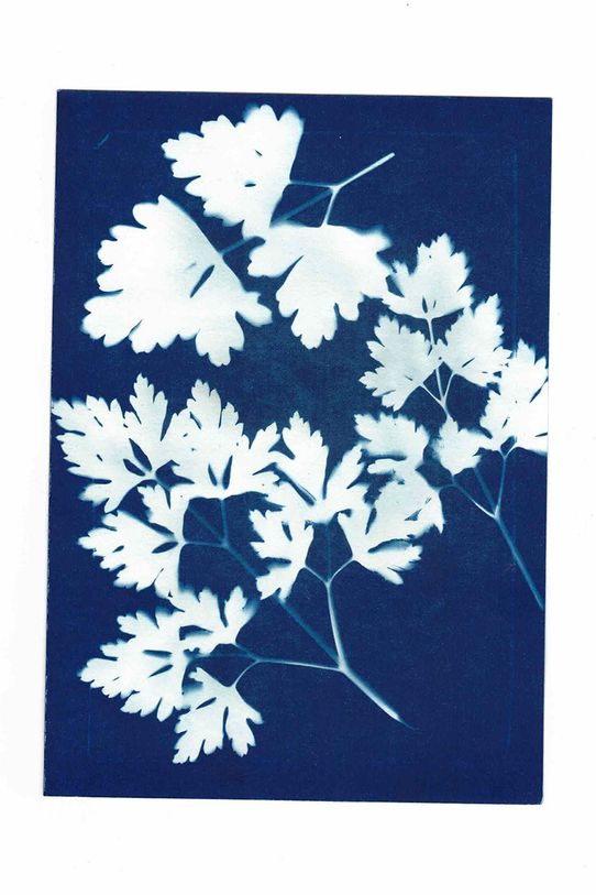 Noted κιτ δημιουργίας φωτογραφιών Sunography (6-pack) SU08EU