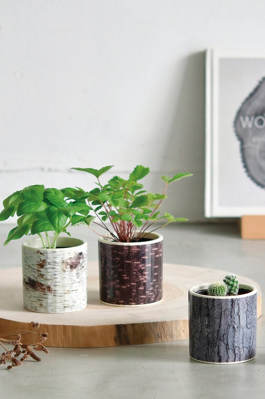 Lifestyle Noted zestaw do uprawy rośliny Stump Garden, Basil GD896EU.BASIL multicolor