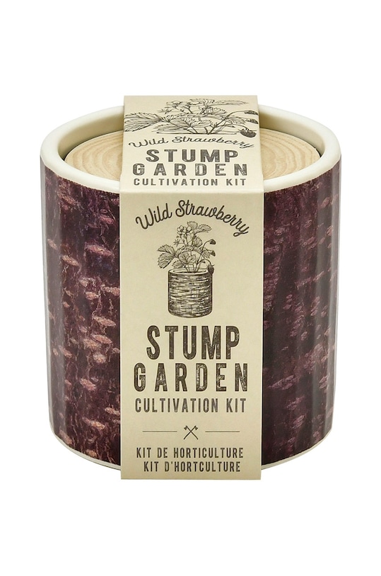 Noted set pentru cultivarea unei plante Stump Garden, Strawberry multicolor GD896EU.STRAWBERRY