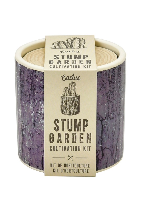 Noted zestaw do uprawy rośliny Stump Garden, Cactus multicolor GD896EU.CACTUS