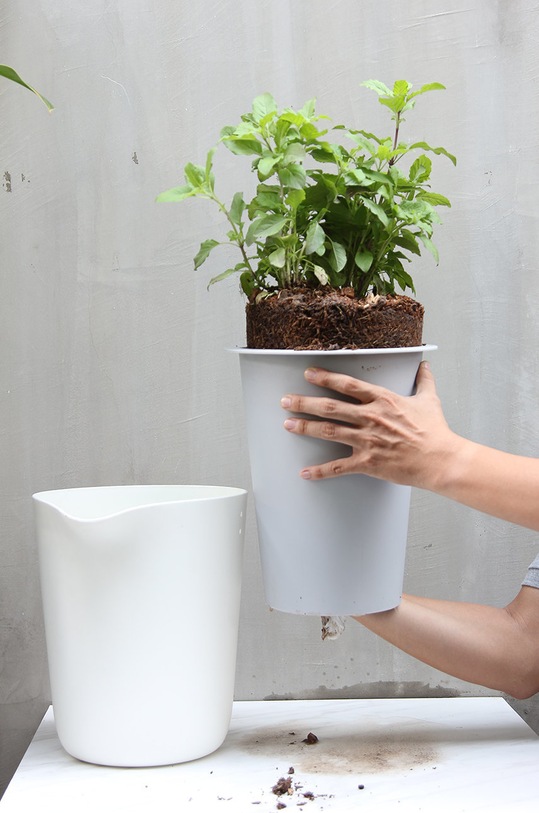 Qualy květináč se zavlažovacím systémem bílá 10308.WH.GY