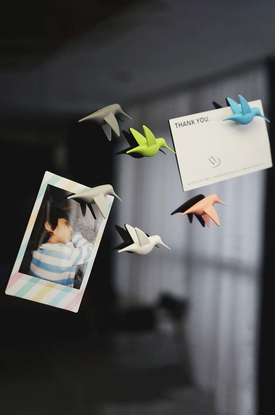 Набір магнітів Qualy 10102.PT барвистий AA00