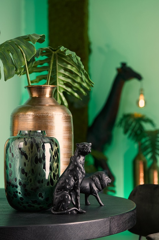 Вітальня та спальня Декоративна ваза Light & Living 5803282 зелений