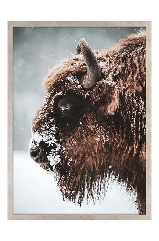 Репродукція на папері в рамці 50x70 см барвистий 1541201.6069