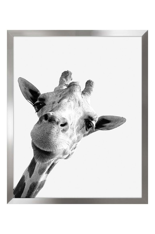 Reprodukce na zarámovaném papíře 40x50 cm vícebarevná 1529201.6077