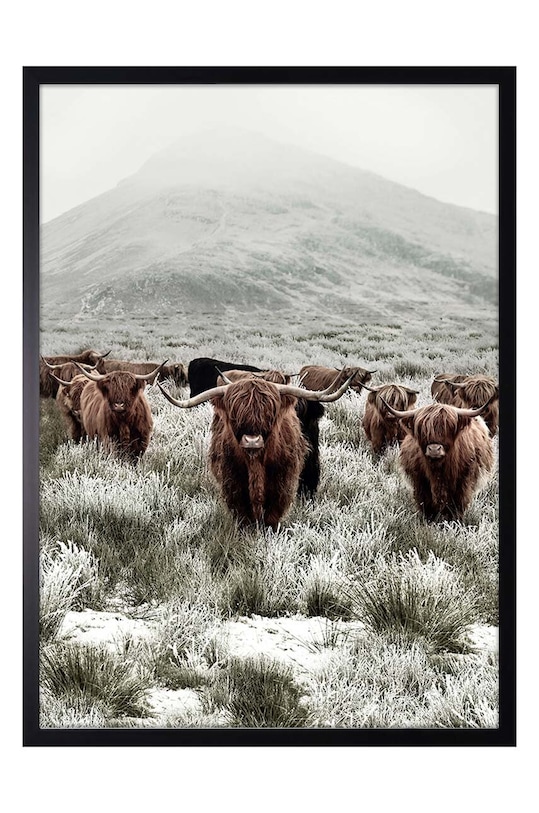 Репродукция на бумаге в раме 50x70 см мультиколор 1541201.6066