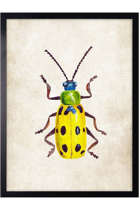 Stenska dekoracija iz papirja v okvirju 30x40 cm pisana AN0031.