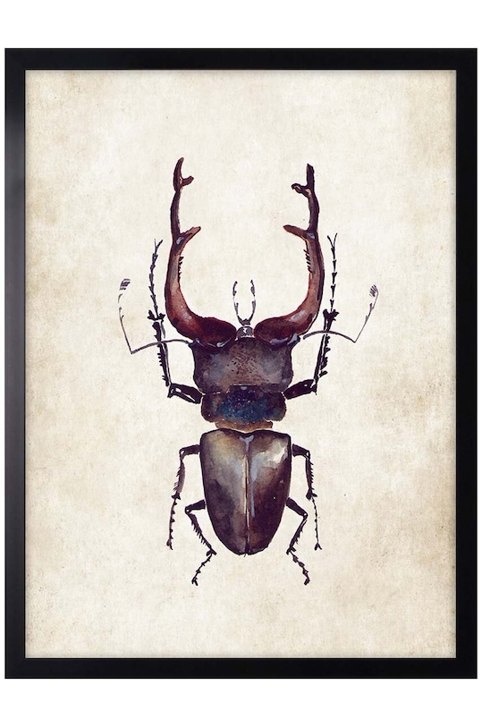 decor de perete pe hârtie înrămată 30x40 cm multicolor AN0033.