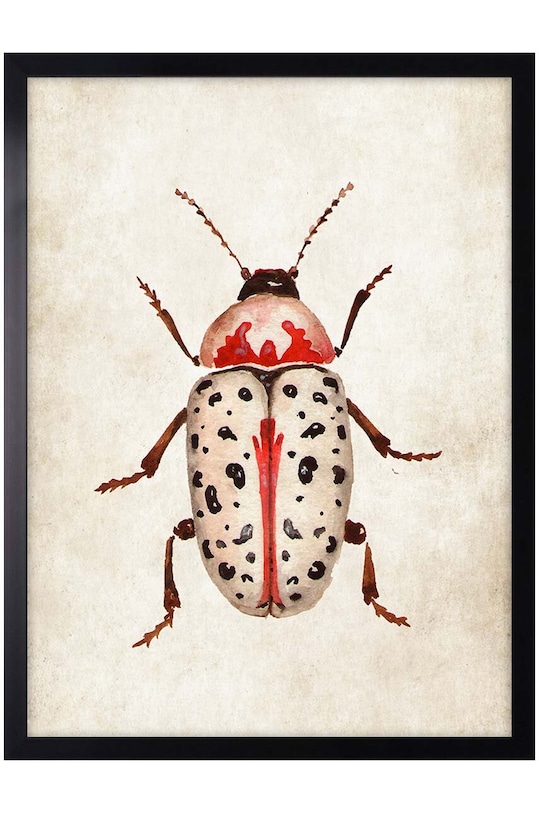 decor de perete pe hârtie înrămată 30x40 cm multicolor AN0034.