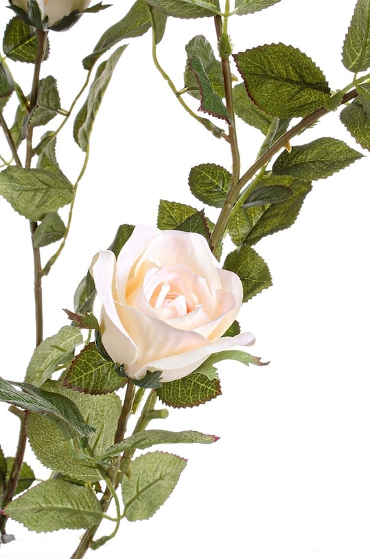 Bizzotto sztuczna roślina w doniczce Isabel 0172244 multicolor AA00