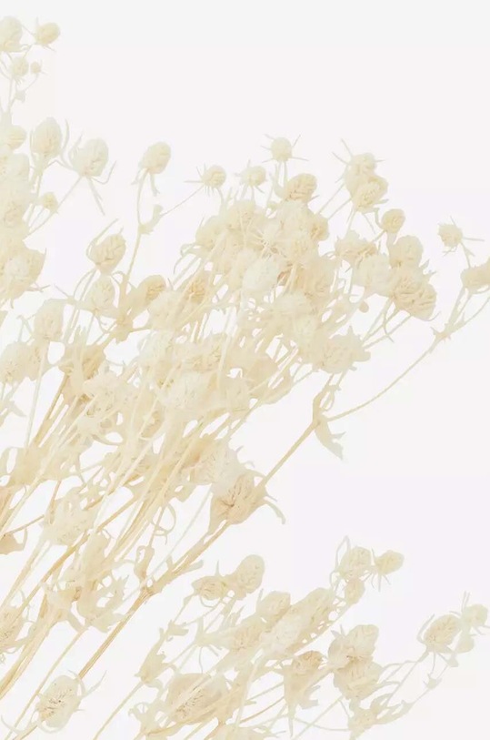 Madam Stoltz suszone źdźbła P0012 beżowy AA00