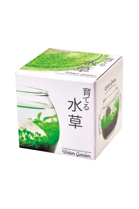 Lifestyle Noted set pentru cultivarea unei plante Water Garden GD892EU multicolor