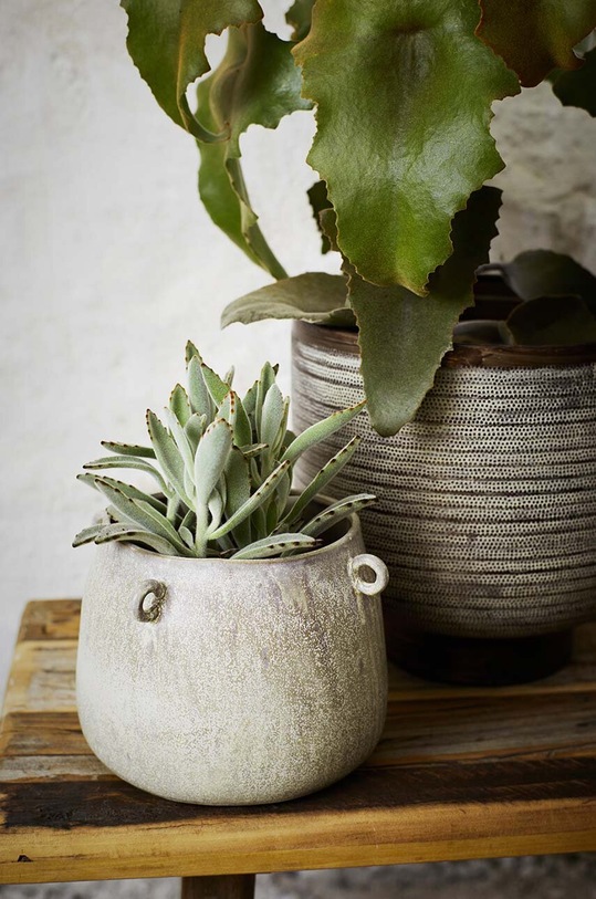 Dnevna soba in spalnica Komplet cvetličnih loncev Madam Stoltz 3-pack 150294.BP pisana