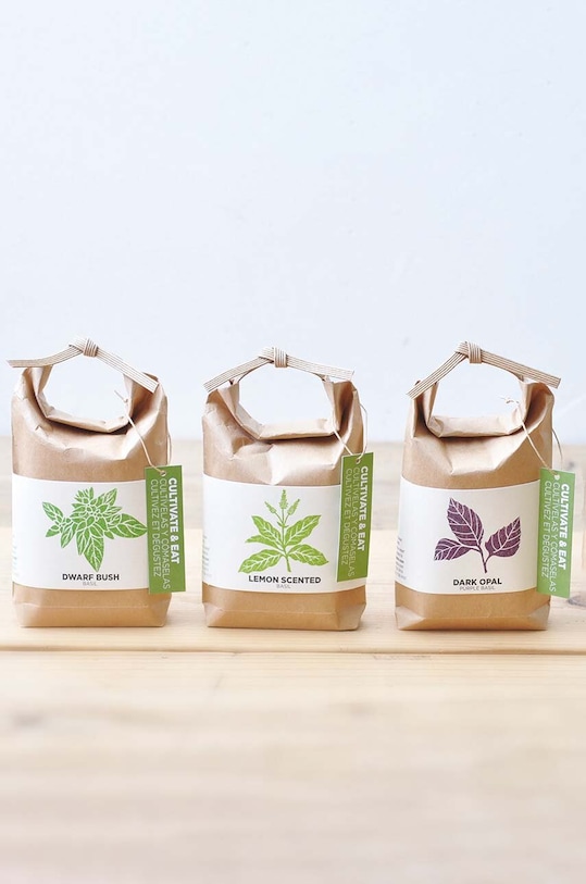 Набір для вирощування рослин Noted Cultivate & Eat - Dwarf Basil GD658BEU.DWARF. барвистий AA00